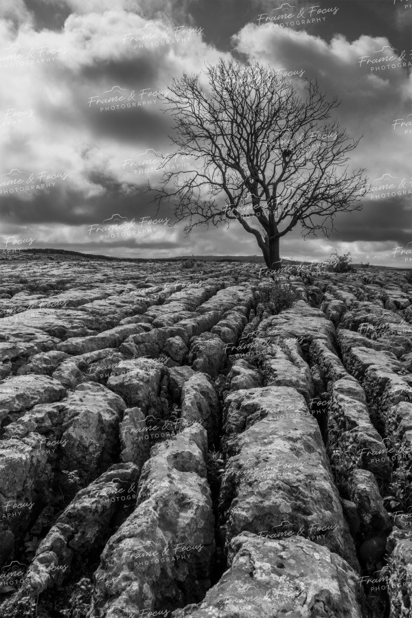 To buy a print or any of the below please click on the images